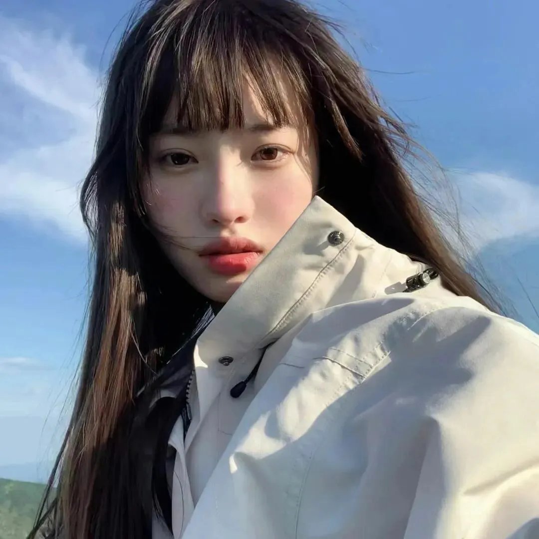 认识狗狗