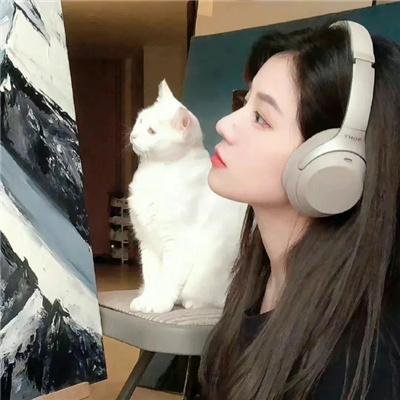 小姐与流氓2:狗儿逃家记
